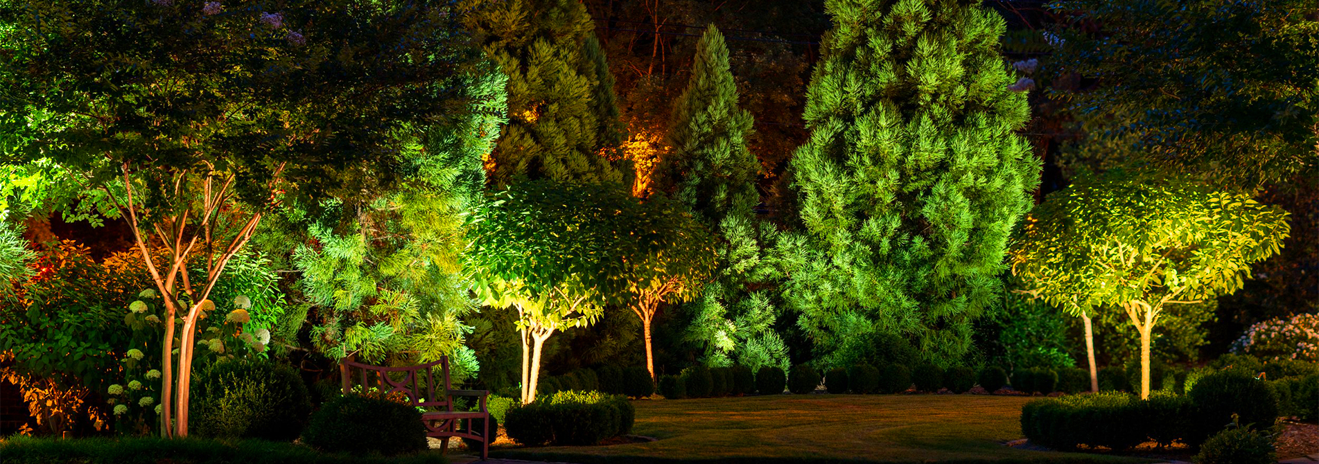 Focused on Lighting Solutions
